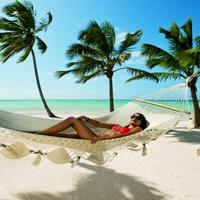 Отзыв от Олеся - DTV виза